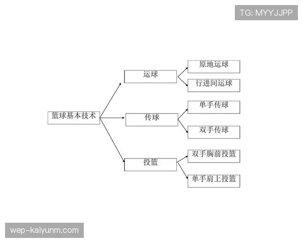 篮球比赛中常见的运球规则与常见误区有哪些？